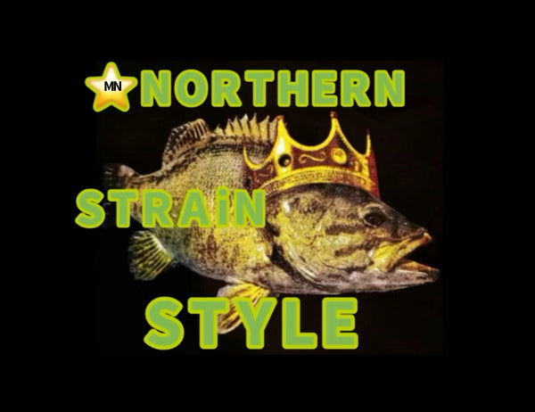 Northern Strain Style